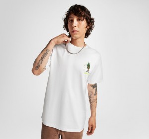 Converse All Star Tree T-shirt Vita | 216UTKRXD