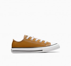 Converse Chuck Taylor All Star Excess Materials Mörkvita Svarta | 463WSQDVC