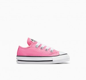 Converse Chuck Taylor All Star Rosa | 785VTLPYO