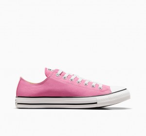 Converse Chuck Taylor All Star Rosa | 819HCBMAS