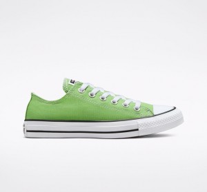 Converse Chuck Taylor All Star Seasonal Color Virtual Matcha | 054MLRCJD