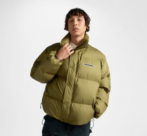 Converse Super Puffer Vadderad Jacket Cosmic Turtle | 186KDYMRF