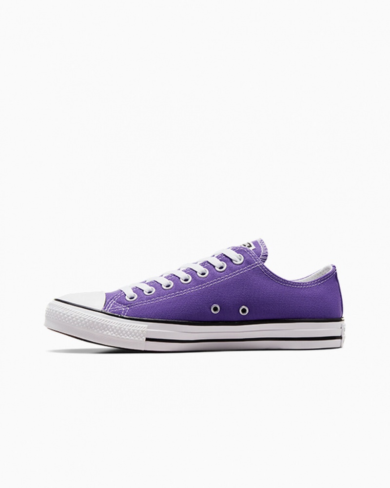 Converse Chuck Taylor All Star Lila | 067QPJDAH