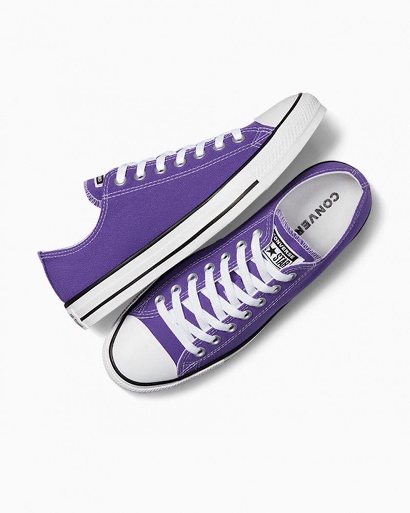 Converse Chuck Taylor All Star Lila | 067QPJDAH