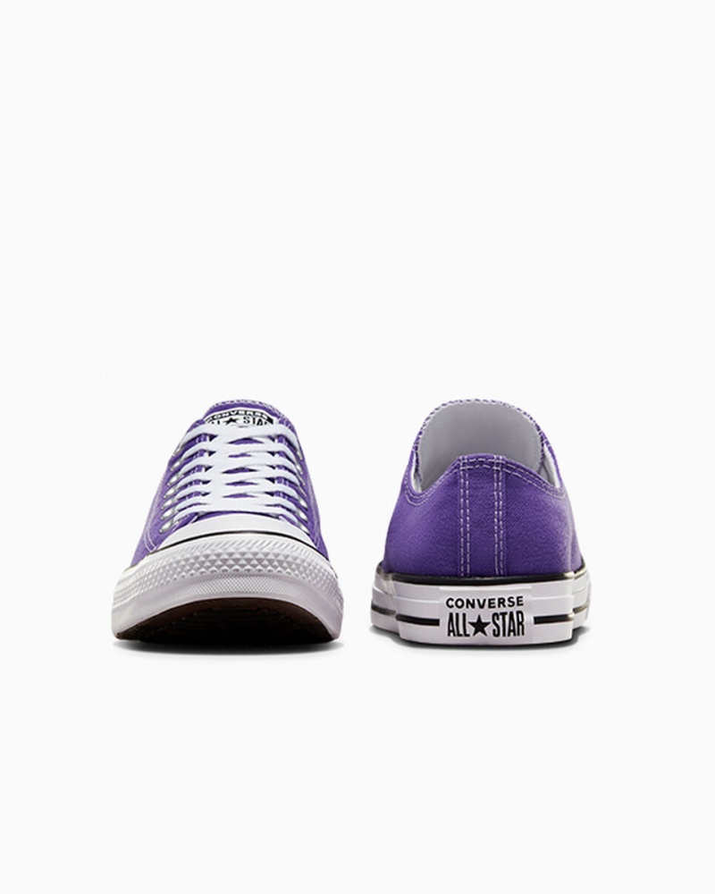 Converse Chuck Taylor All Star Lila | 067QPJDAH