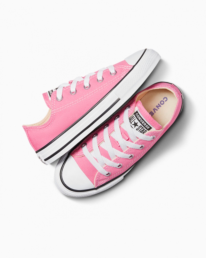 Converse Chuck Taylor All Star Rosa | 093IHUPJY