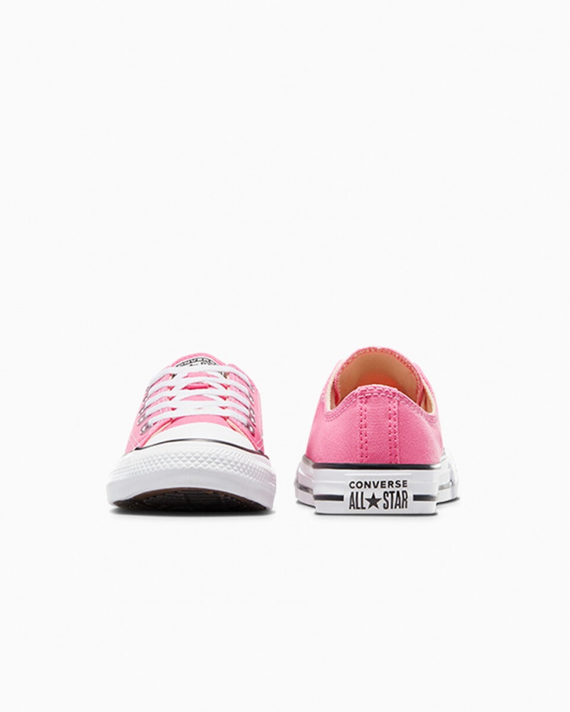 Converse Chuck Taylor All Star Rosa | 093IHUPJY