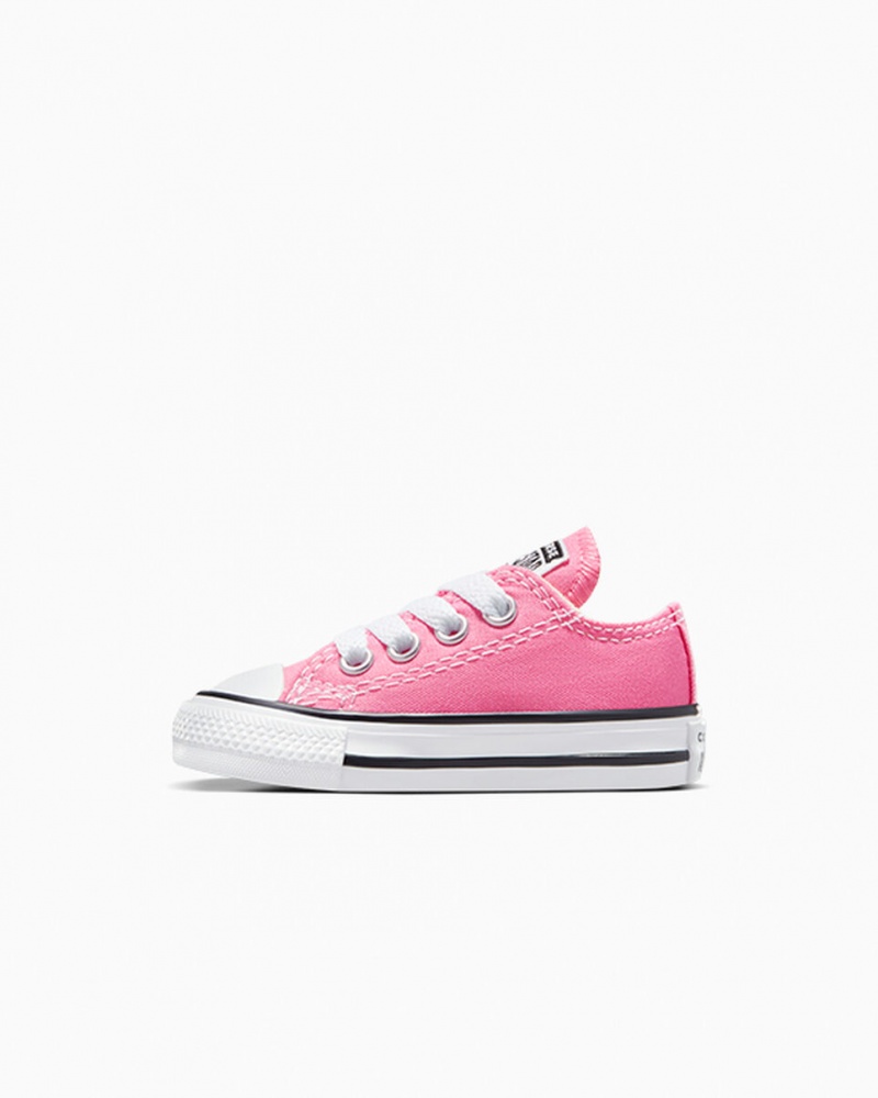 Converse Chuck Taylor All Star Rosa | 785VTLPYO