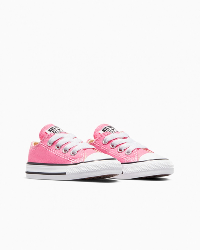 Converse Chuck Taylor All Star Rosa | 785VTLPYO