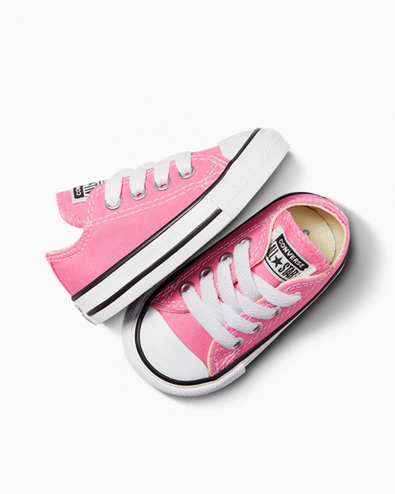 Converse Chuck Taylor All Star Rosa | 785VTLPYO