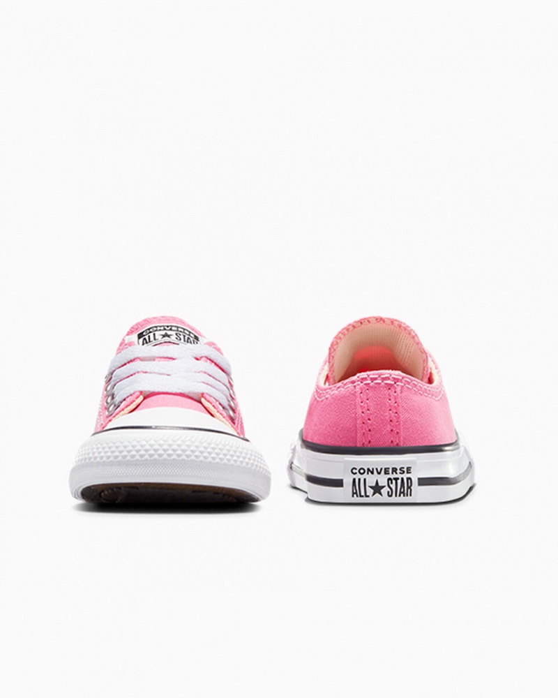 Converse Chuck Taylor All Star Rosa | 785VTLPYO