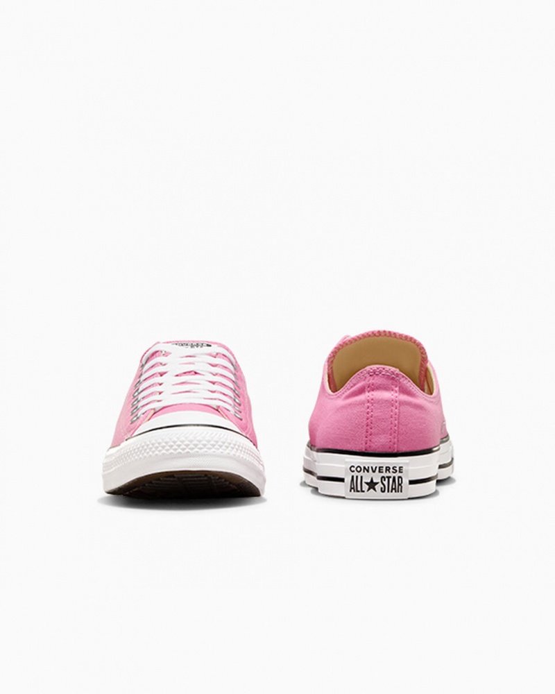 Converse Chuck Taylor All Star Rosa | 819HCBMAS
