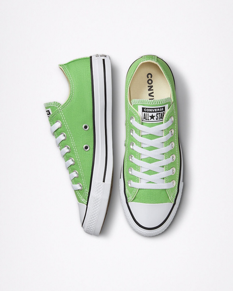 Converse Chuck Taylor All Star Seasonal Color Virtual Matcha | 054MLRCJD