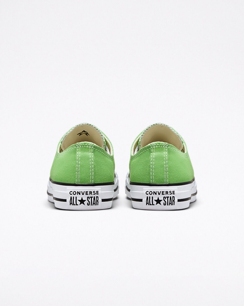 Converse Chuck Taylor All Star Seasonal Color Virtual Matcha | 054MLRCJD