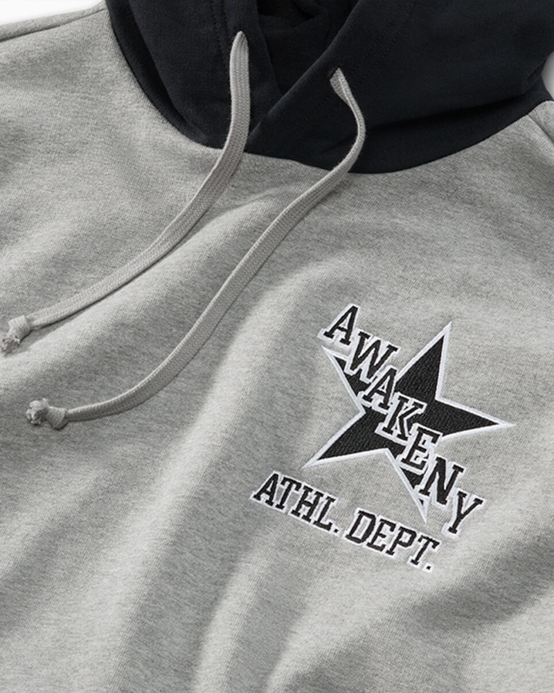 Converse Converse x Awake NY French Terry Hoodie Grå | 643NYSRKW